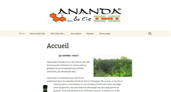Desktop Screenshot of anandaetcie.org